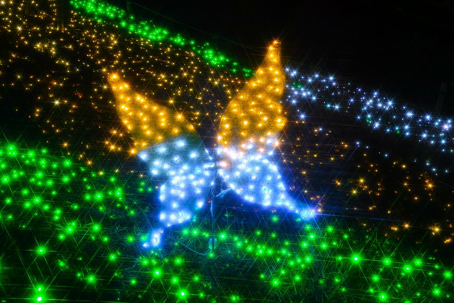 illumination, butterfly, light, night, light up, fantastic HD wallpaper