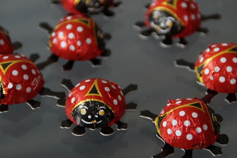 beetle, ladybug, lucky ladybug, decoration, chocolate beetle HD wallpaper