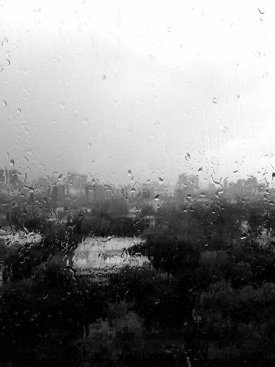 rain, window, b w, wet, glass - material, transparent, drop HD wallpaper