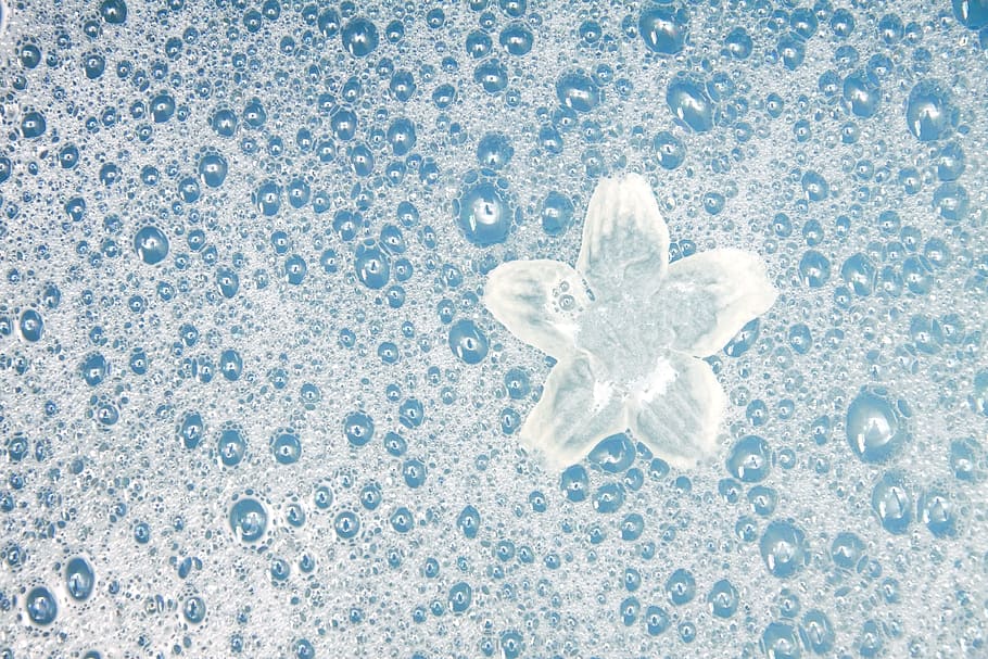 white flower on bubble foam indoors, aqua, background, bath, bathroom
