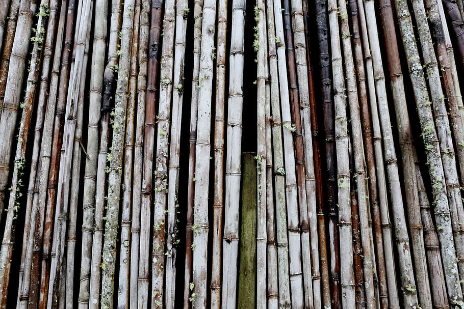 closeup photo of brown sticks, bamboo, bundle, design, fence HD wallpaper