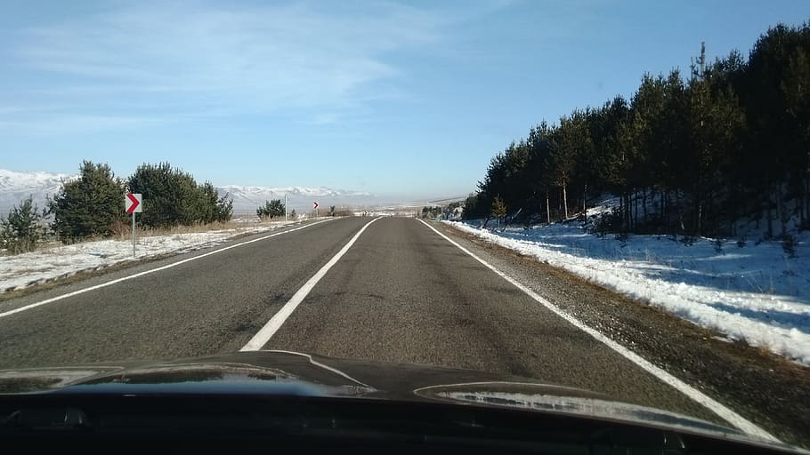 way, winter, cold, transportation, road, tree, car, the way forward HD wallpaper