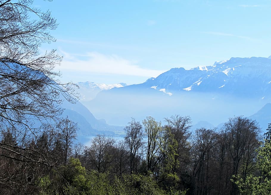 vision, lake, forest, mountains, tree, beauty in nature, scenics - nature HD wallpaper