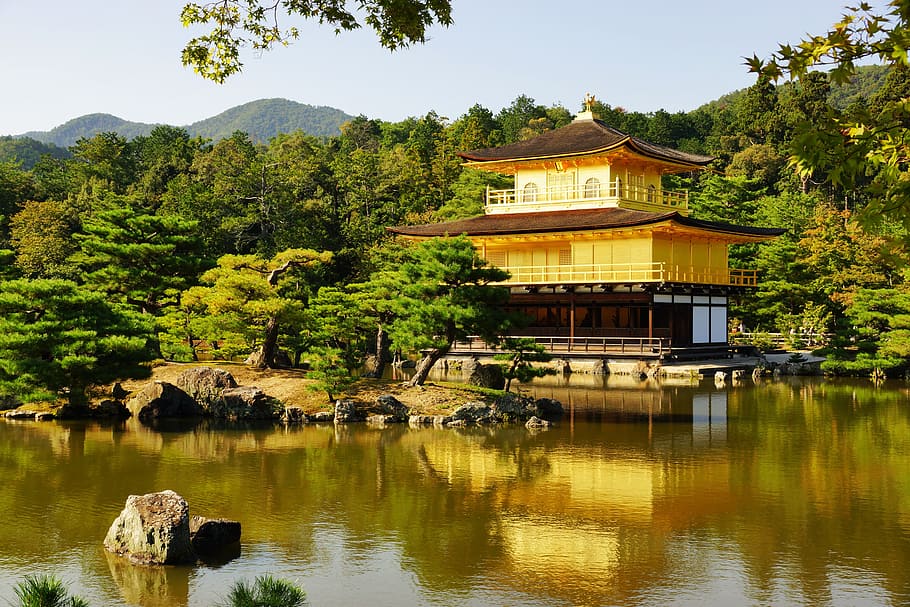 waters, nature, lake, tree, travel, japan, kyoto, golden pavilion HD wallpaper