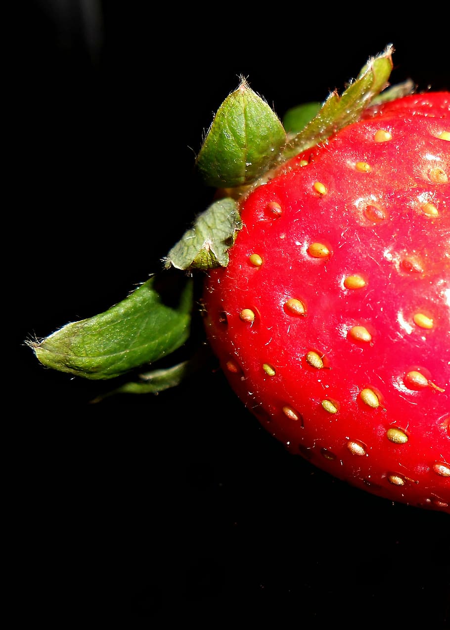 Strawberry, Macro, Fruit, Ripe, red, juicy, healthy, fresh HD wallpaper
