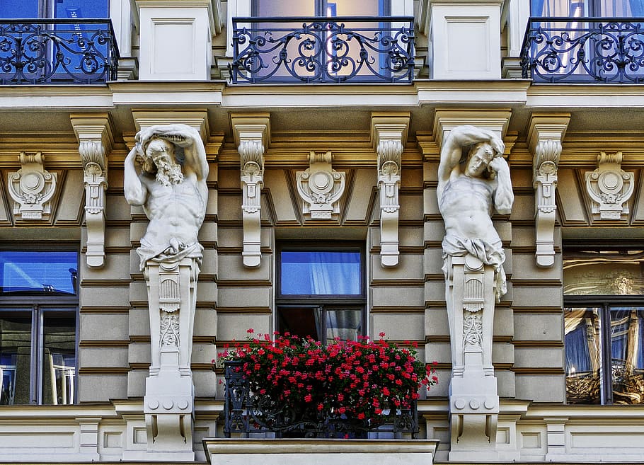 red petaled flowers in front glass window, art nouveau, facade, HD wallpaper