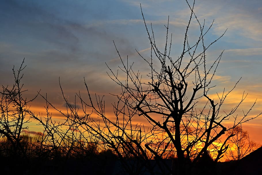 sunset, setting sun, evening red, evening sun, landscape, trees HD wallpaper