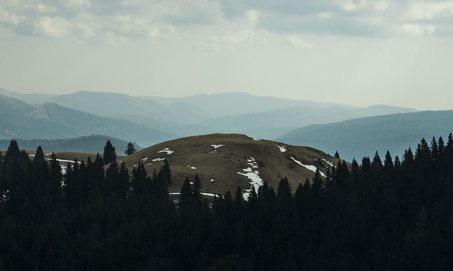 landscape photo of brown mountain, aerial view of green mountain and trees HD wallpaper