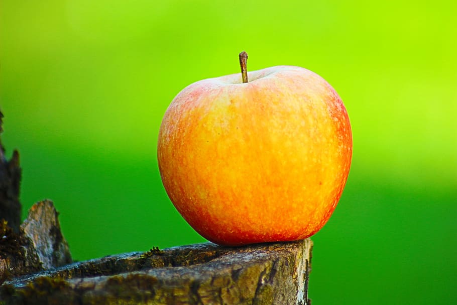 apple, green, nature, form, food, red, fruit, healthy eating HD wallpaper