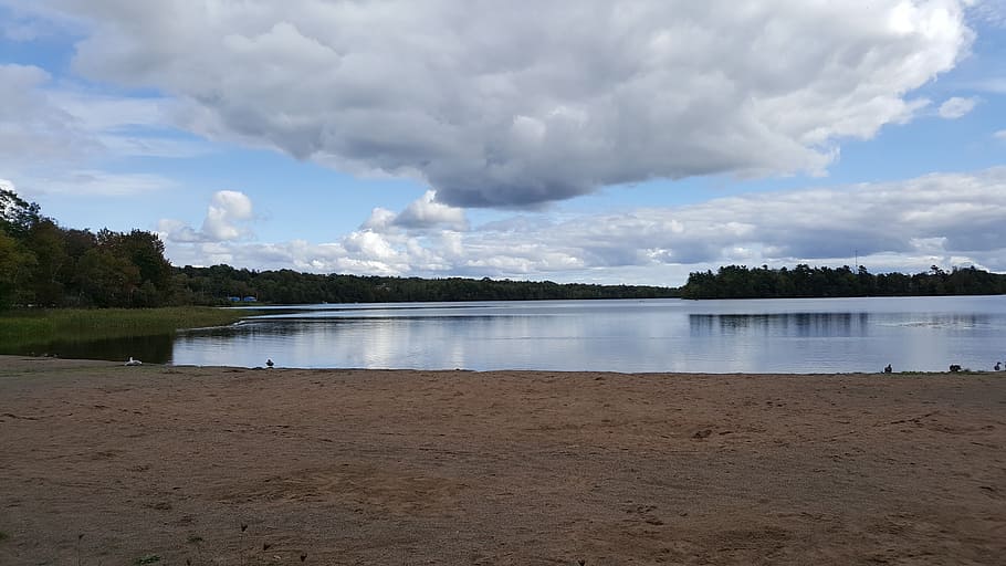lake, sand, beach, clouds, trees, ducks, water, landscape, cloud - sky HD wallpaper