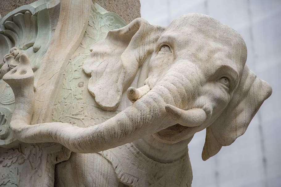 elephant, pachyderm, statue, stone, rome, piazza della minerva HD wallpaper