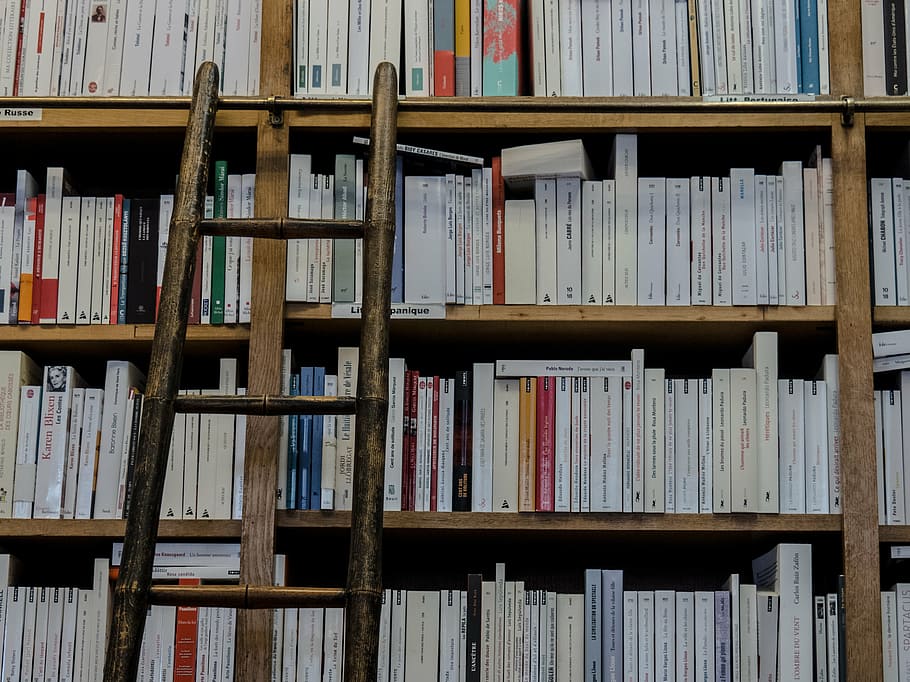 assorted-title books on bookshelf near ladder, bookshop, library, HD wallpaper