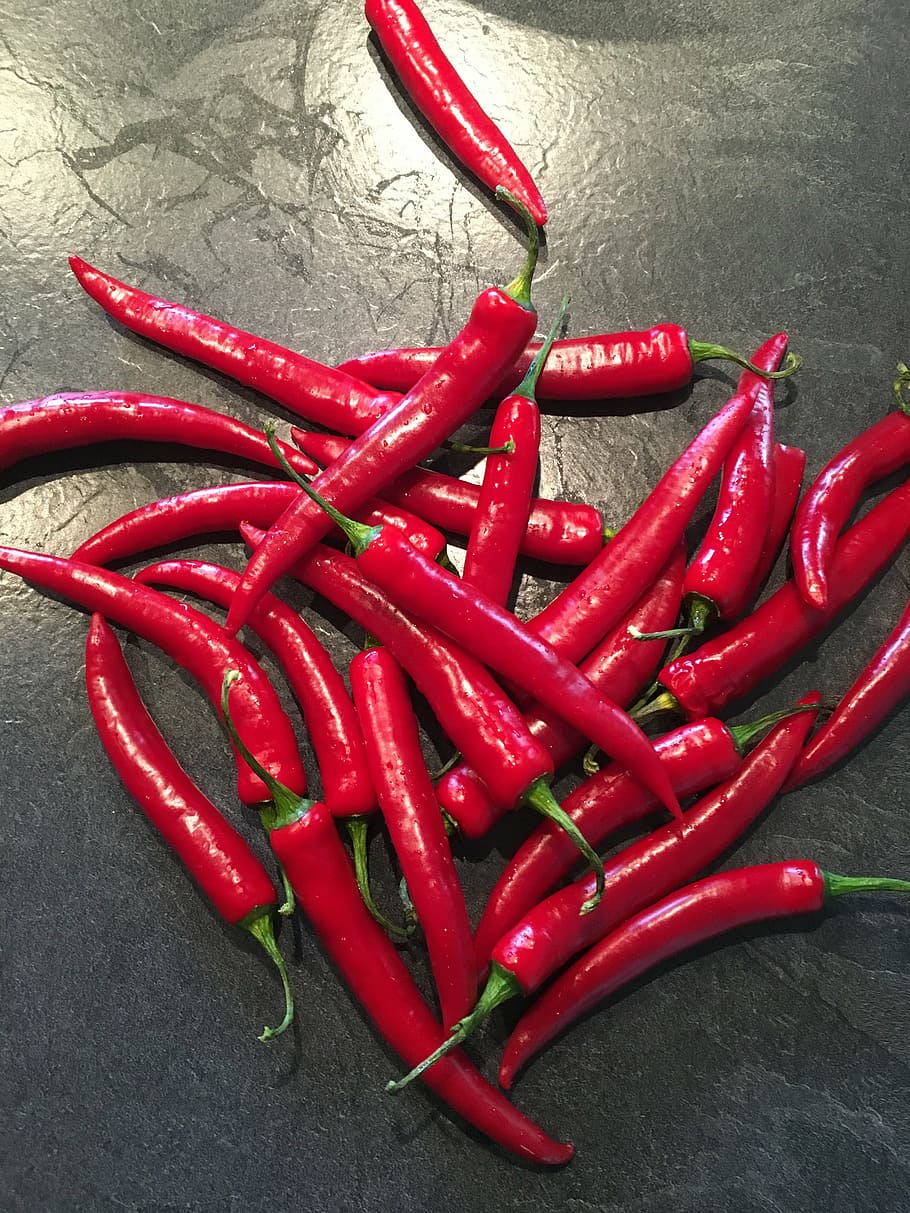 chilli, red, sharp, eat, pepper crop, red pepper, pods, piquant HD wallpaper