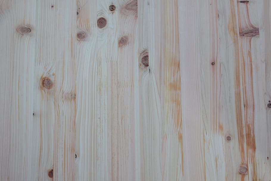 Wood, Pattern, Texture, wood pattern, wild, bark, nature, annual zone HD wallpaper