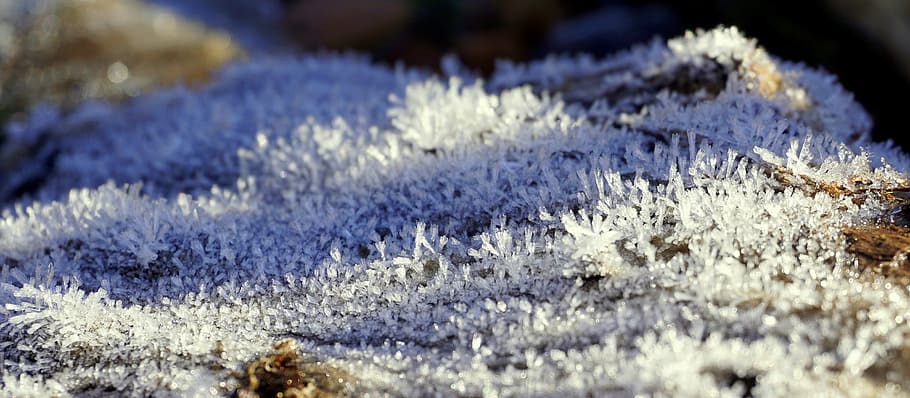 Ice, Crystals, Cold, White, Winter, nevada, landscape, frost HD wallpaper