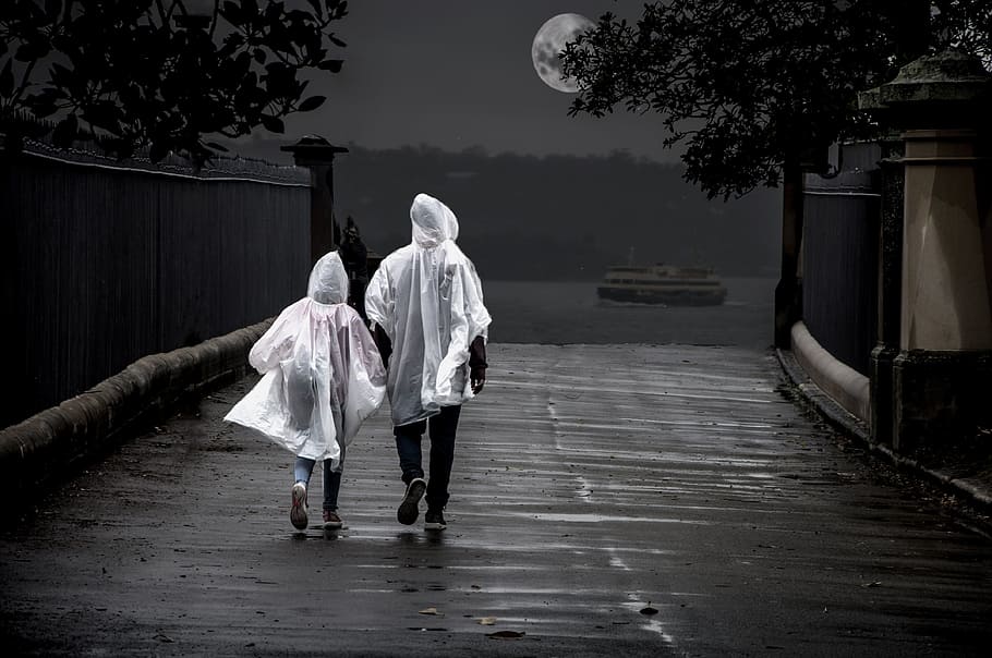 two person walking beside tree near body of water, people, walking with HD wallpaper