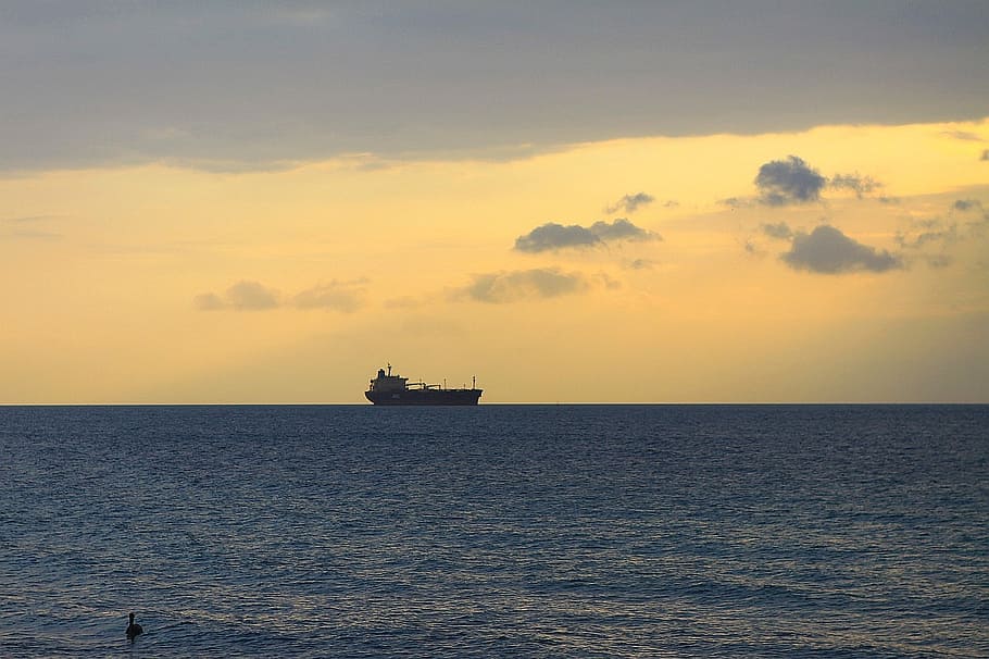 ocean, wave, ship, clouds, sky, pelican, bird, florida, sea HD wallpaper