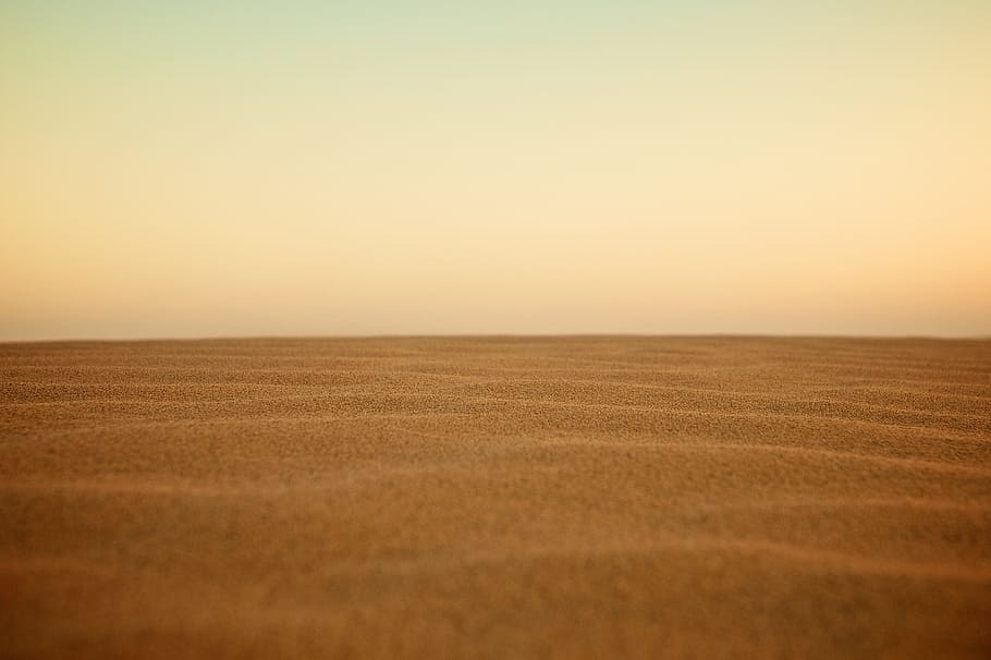 selective focus photography of desert, landscape photography of sand HD wallpaper
