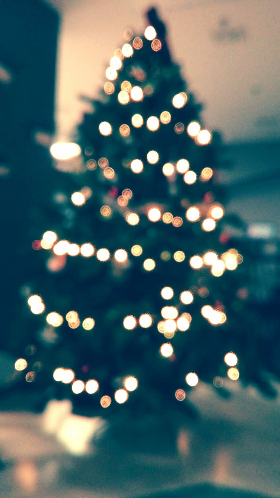 Visit to Degordian, christmas tree, lights, bokeh, illuminated HD wallpaper