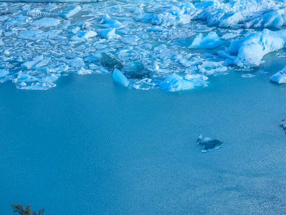 frozen, glacier, water, cold, blue, sea, underwater, animal, HD wallpaper