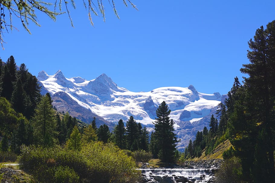 Scenic View of Pine Trees and Mountains Against Clear Blue Sky HD wallpaper