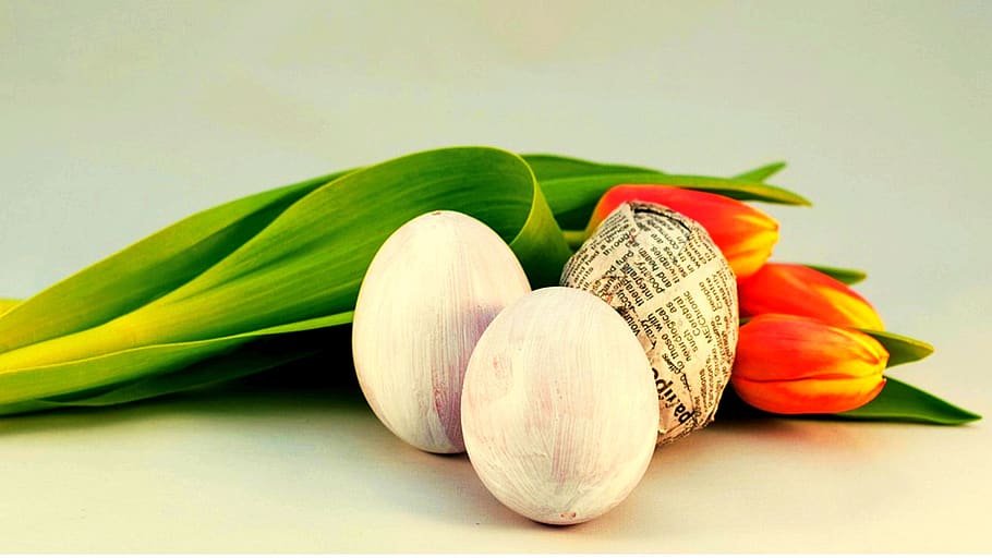 nature, leaf, flower, tulips, spring, eggs, easter, composition HD wallpaper