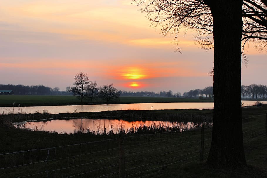 Setting Sun, Sun, Red, Red Sky, Evening, evening red, nature HD wallpaper