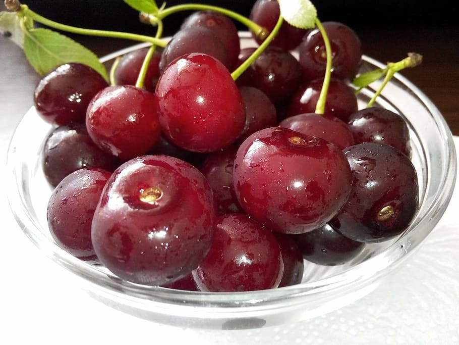 cherry, summer, fruit, fresh, nature, freshness, sweet, juicy HD wallpaper
