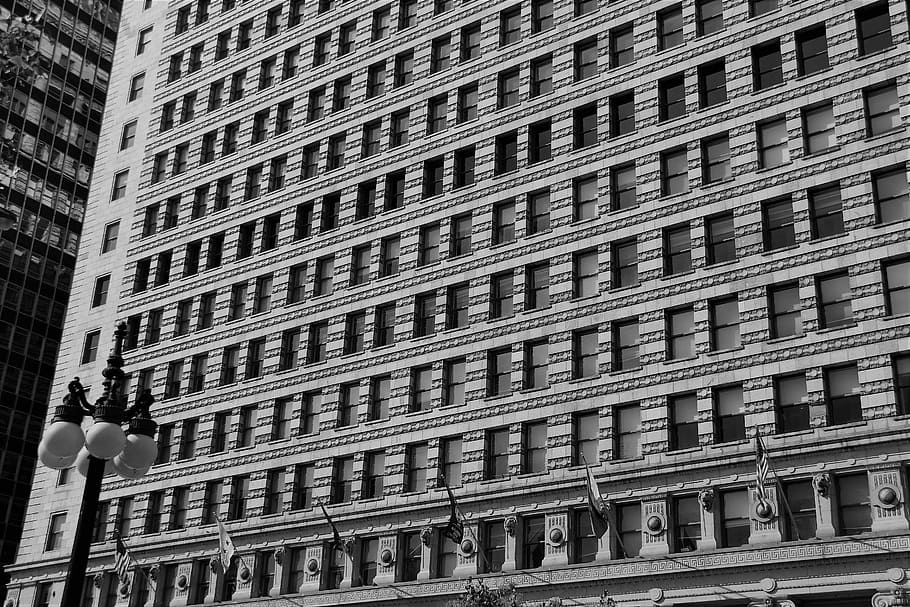 Looking out…, grayscale photo of buildings, architecture, windows HD wallpaper