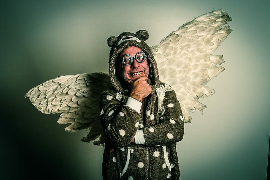 Wing, Feather, Glasses, Tooth, Birds, animal, humor, adult HD wallpaper