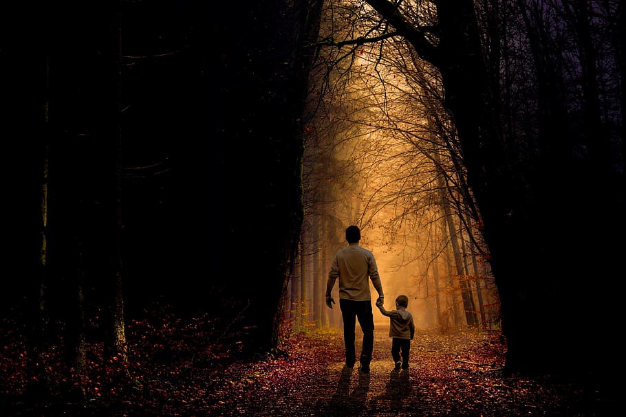 man and toddler walking on dried forest during dawn, father, son