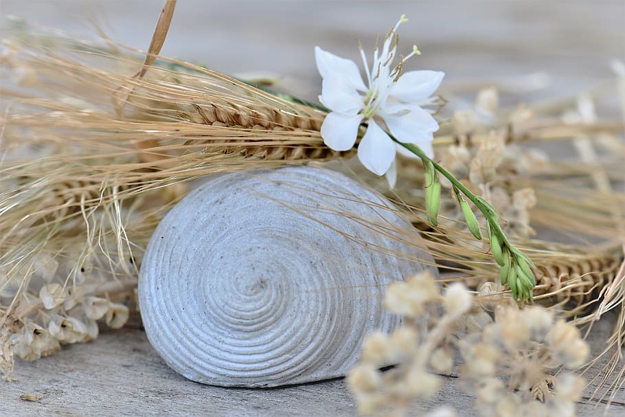 Deco, Table, Decoration, table decorations, decorative, flowers HD wallpaper