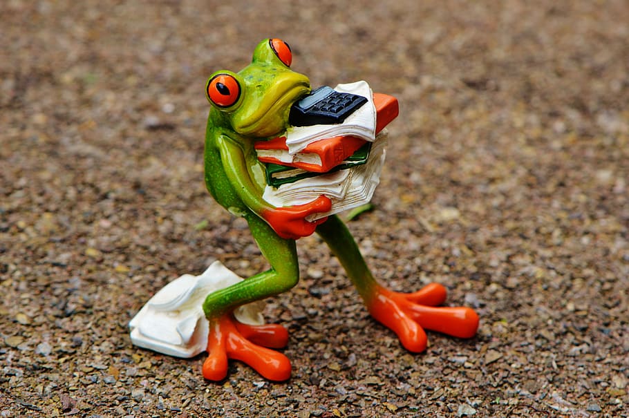 green frog carrying paper documents figurine on ground, figure HD wallpaper