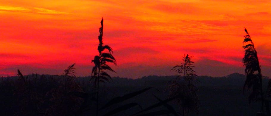 red, black, dusk, sunset, artistic, creative, dark, sky, orange color HD wallpaper