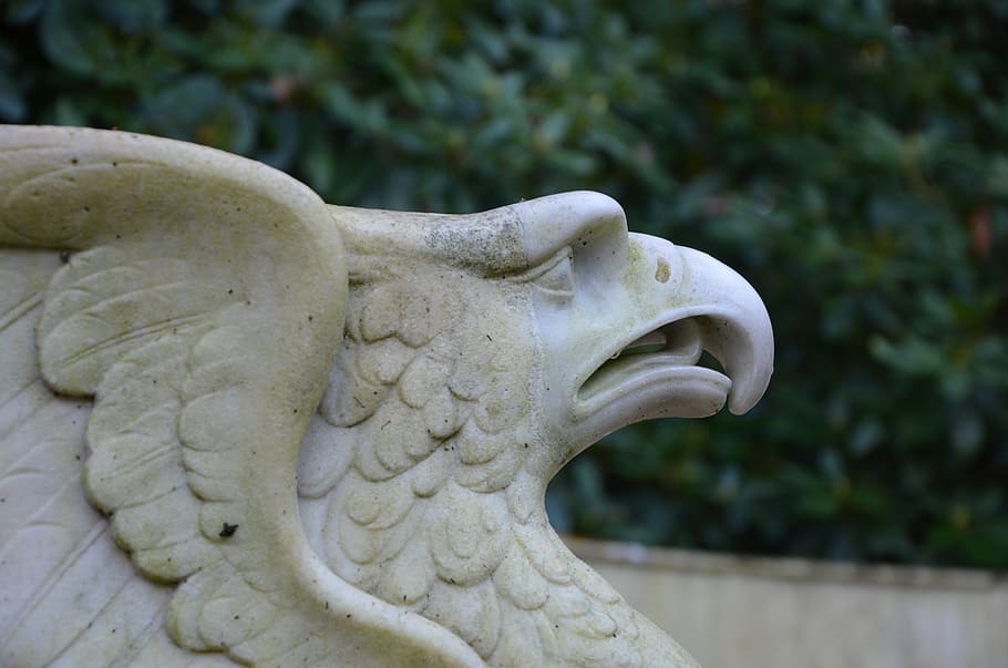 statue, adler, bird, griffin, marble, sculpture, raptor, monument HD wallpaper