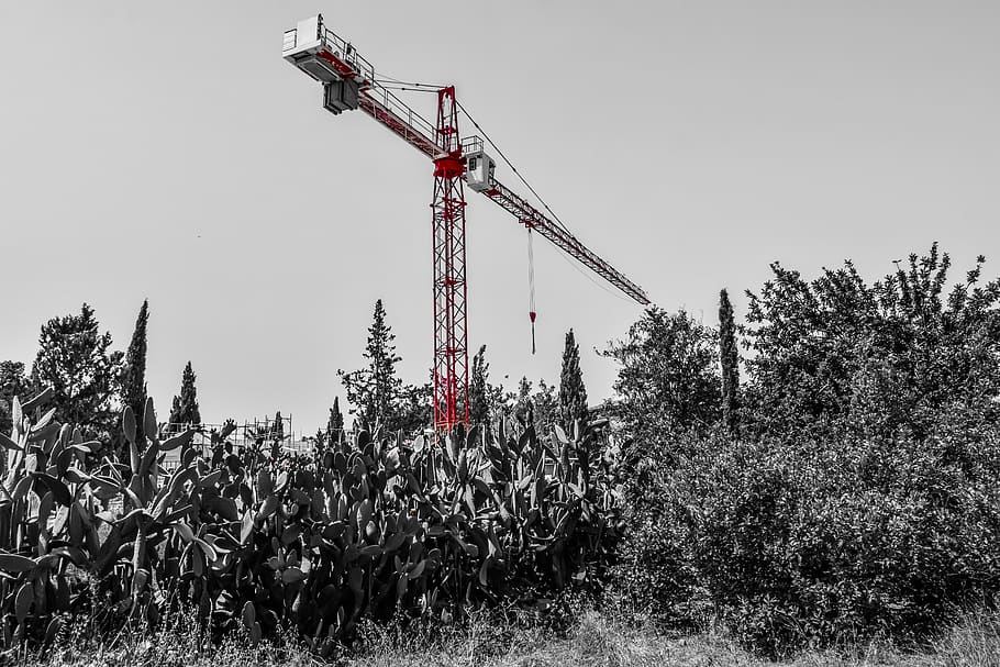 heavy machine, construction site, red, crane, plant, sky, growth HD wallpaper