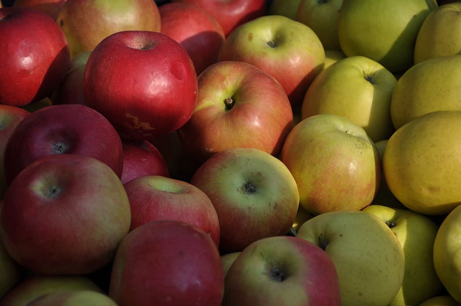 apple, fruit, food, healthy eating, food and drink, wellbeing HD wallpaper