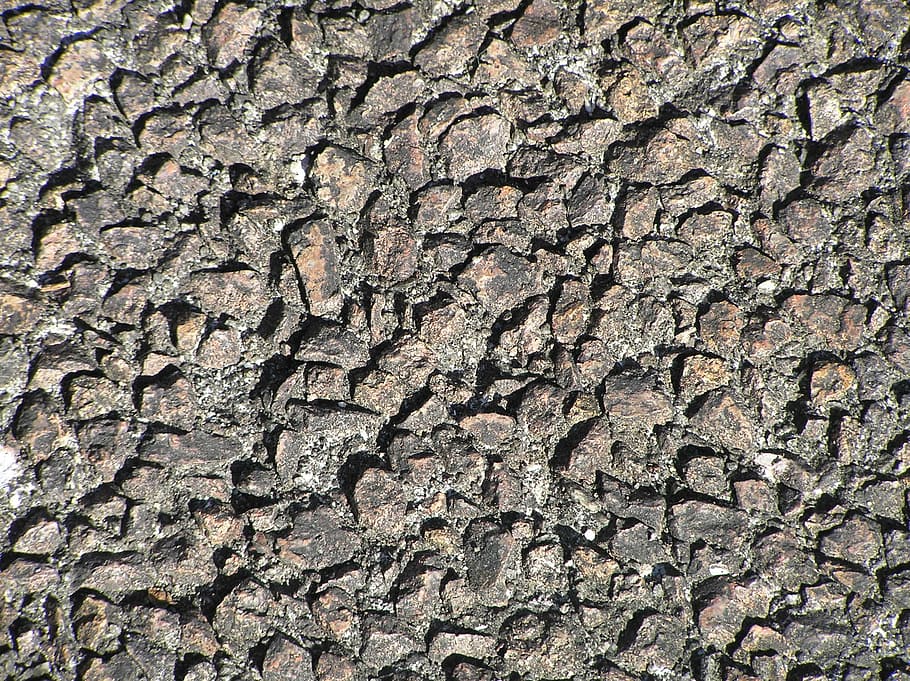 rocky, rough, texture, background, footpath, sidewalk, pathway HD wallpaper