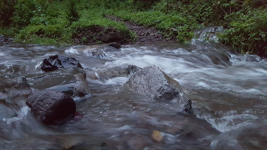 brooks, brown, woods, water, motion, flowing water, rock, beauty in nature HD wallpaper