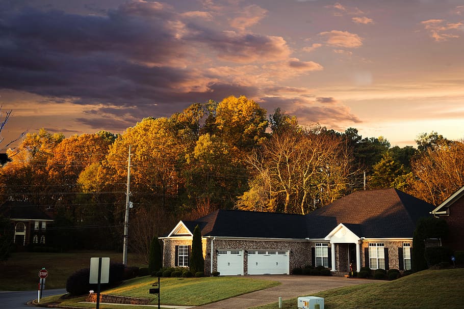 Scenic View of the Trees, architecture, bungalow, clouds, dawn HD wallpaper