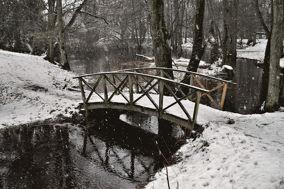 brown wooden bridge covered with snow, bridge covered with snow HD wallpaper