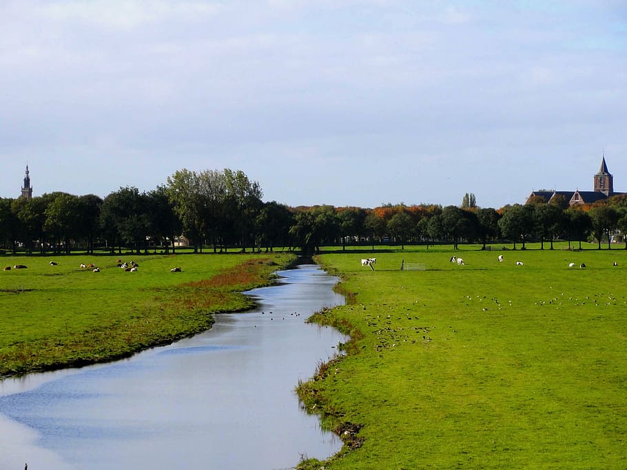 netherlands, landscape, stream, water, fields, grass, plants HD wallpaper