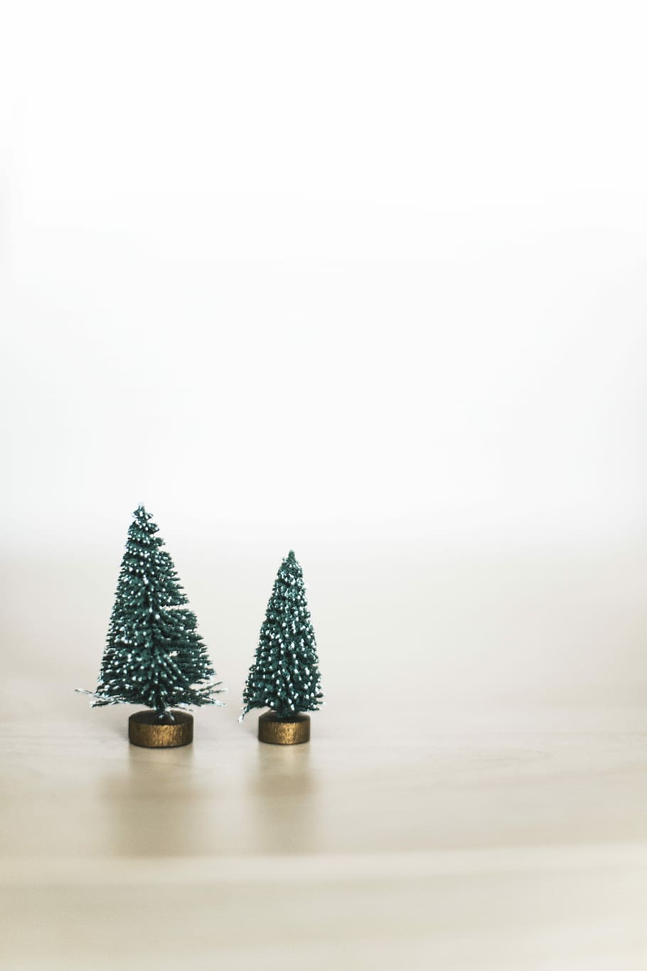 two green pine trees, photo of two Christmas tree miniatures on white surface HD wallpaper