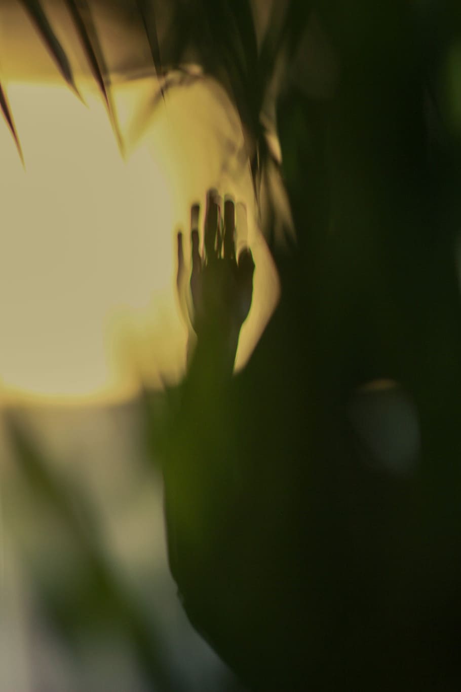 silhouette of person raising hand, untitled, shadow, dark, light HD wallpaper