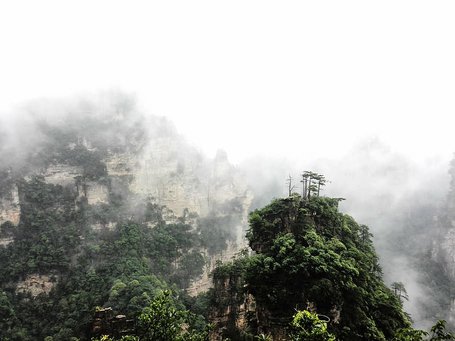 zhangjiajie, clouds, summer hill, mountain, fog, nature, forest, HD wallpaper