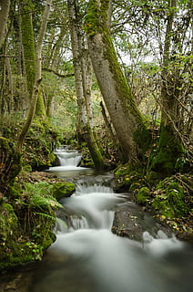 time lapse photo of river near trees, bad urach, germany, long exposure HD wallpaper
