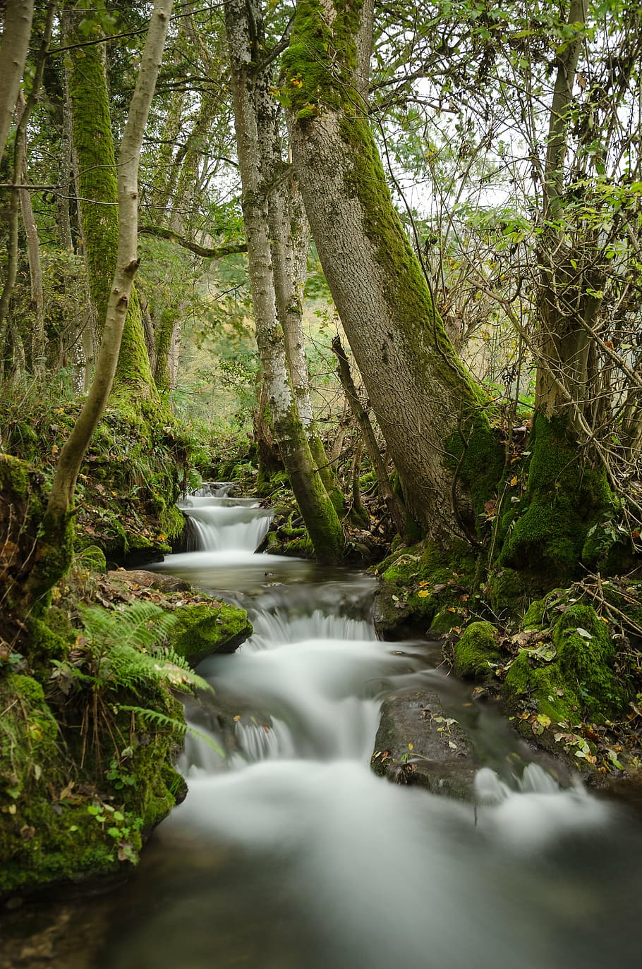 time lapse photo of river near trees, bad urach, germany, long exposure HD wallpaper