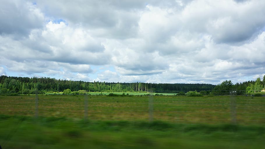 finnish, on the road, green, fields, forest, clouds, rate, car window HD wallpaper