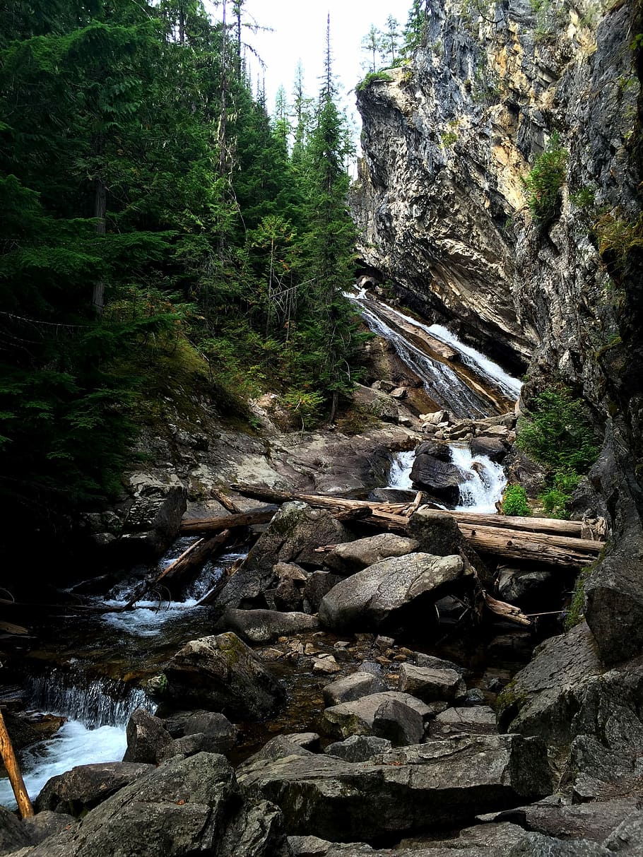 Granite Falls, Washington, Cedars, forest, scenery, rock, nature, HD wallpaper