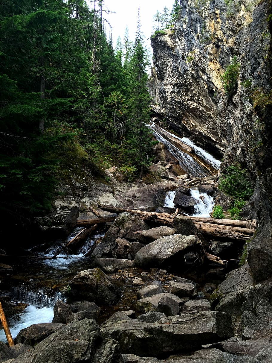 Granite Falls, Washington, Cedars, forest, scenery, rock, nature HD wallpaper